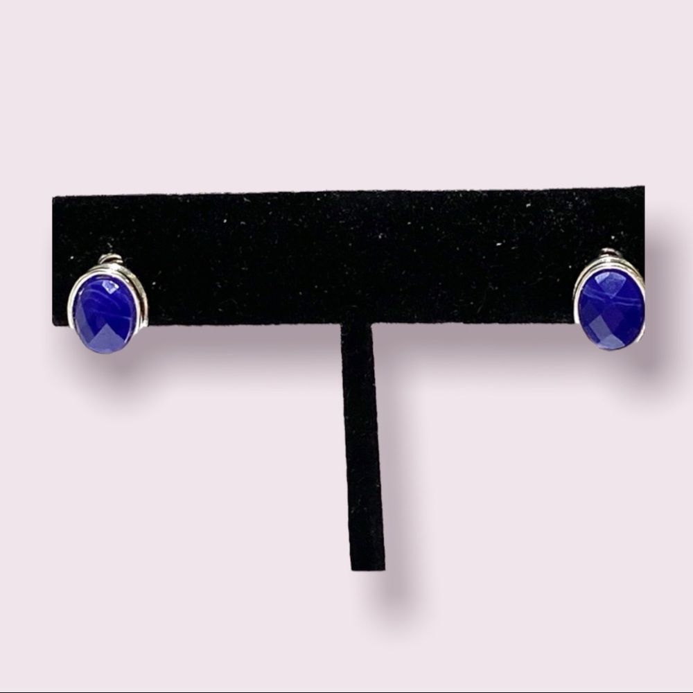 Napier Womens Beach Navy Blue Ocean Minimaist Stud Earrings